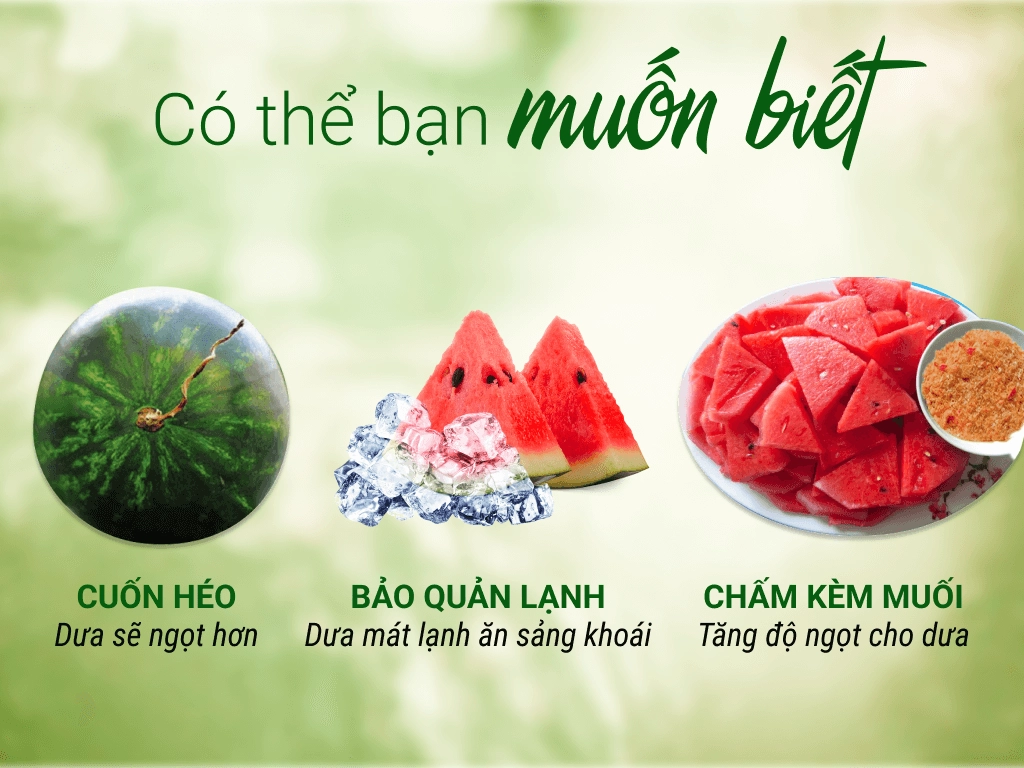 Dưa hấu đỏ trái 1.7kg - 2kg